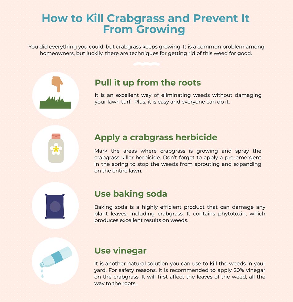can you kill crabgrass